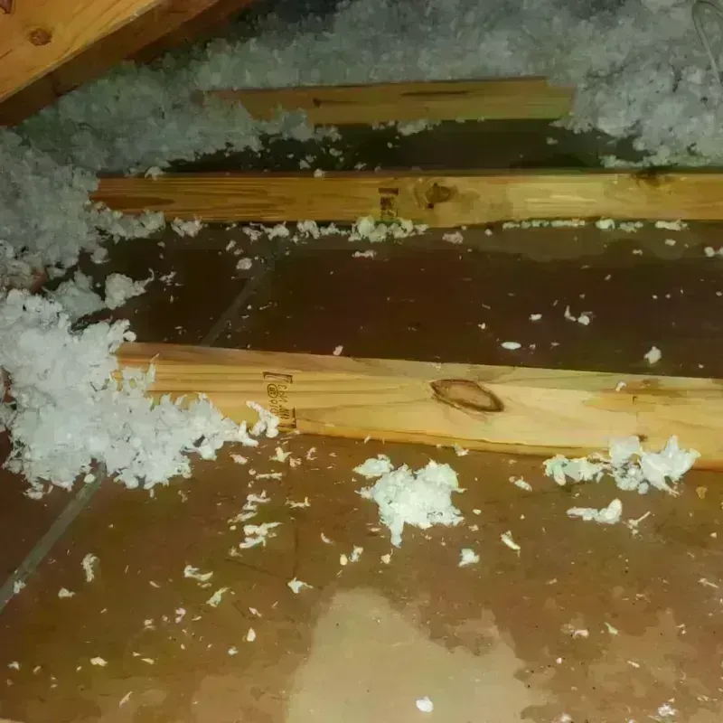 Attic Water Damage in Northbrook, OH